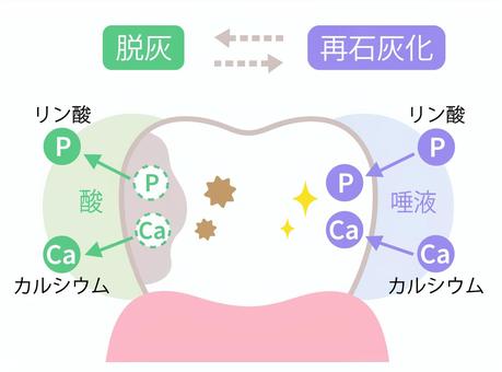 再石灰化 再石灰化